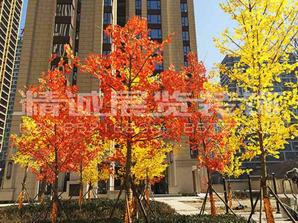 寧夏包裝設(shè)計 寧夏包裝設(shè)計