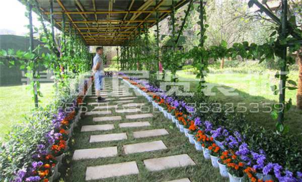 甘肅包裝設(shè)計 甘肅包裝設(shè)計