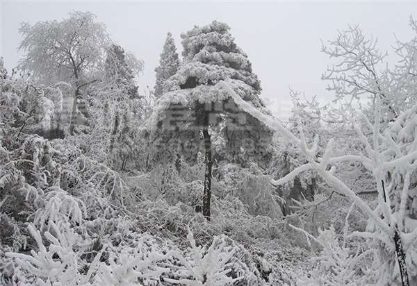 咸陽博物館設計公司 咸陽博物館設計公司