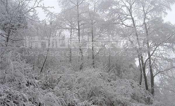 寶雞博物館設計 寶雞博物館設計