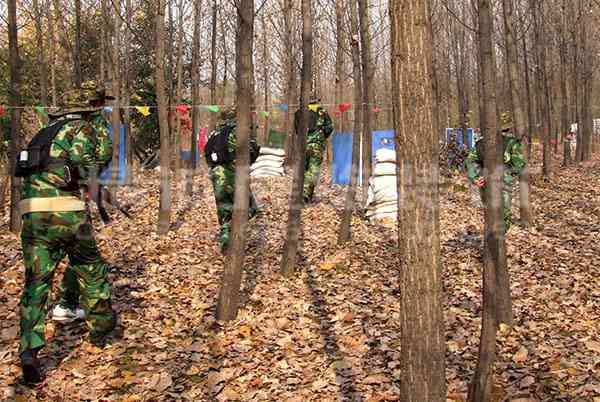 咸陽(yáng)博物館設(shè)計(jì) 咸陽(yáng)博物館設(shè)計(jì)