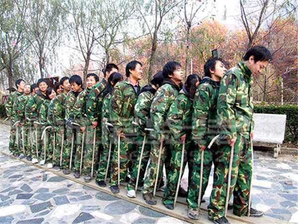 陜西博物館設(shè)計(jì) 陜西博物館設(shè)計(jì)