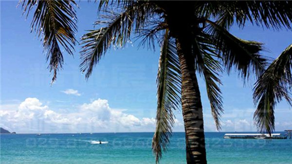 寶雞紀(jì)念館設(shè)計(jì) 寶雞紀(jì)念館設(shè)計(jì)