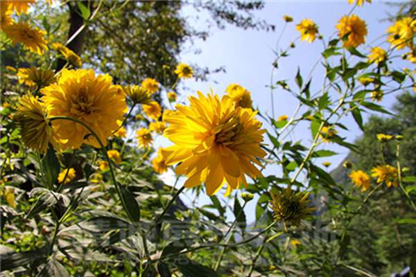 蘭州博物館設(shè)計策劃 蘭州博物館設(shè)計策劃