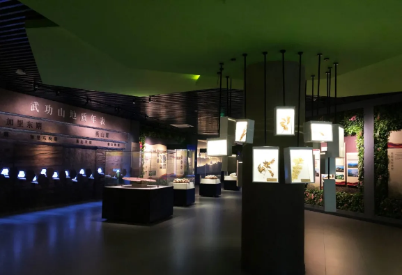 解析武功山地質(zhì)博物館設(shè)計(jì)元素 解析武功山地質(zhì)博物館設(shè)計(jì)元素